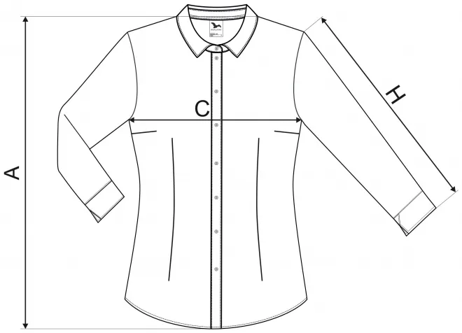 Γυναικεία μπλούζα με μακριά μανίκια - πίνακας διαστάσεων